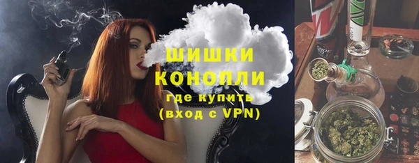 соль ск Белокуриха
