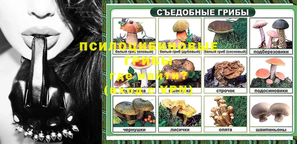 spice Беломорск