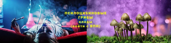 соль ск Белокуриха