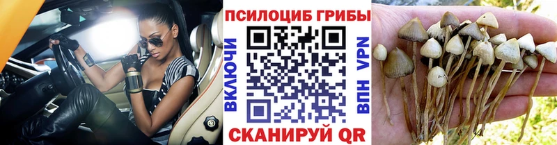 сколько стоит  Красноуфимск  Псилоцибиновые грибы ЛСД 
